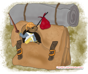 Henry in the haversack illustration